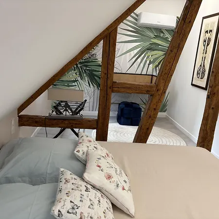 Saint Jo Apartamento